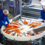 خانههای مولد در سواحل فرصتی برای توسعه اقتصاد دریامحور است