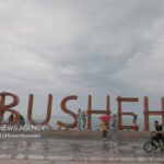 تجربه آبوهوای بهاری در فصل یخبندان؛ بوشهر قطب گردشگری زمستانی