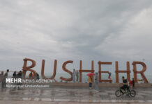 تجربه آبوهوای بهاری در فصل یخبندان؛ بوشهر قطب گردشگری زمستانی