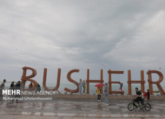 تجربه آبوهوای بهاری در فصل یخبندان؛ بوشهر قطب گردشگری زمستانی