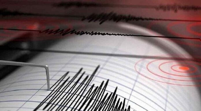 جم از دیشب ۹ بار لرزید