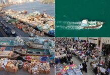 قانونمند شدن «تهلنجی» فرصتی طلایی برای رونق معیشت ساحلنشینان