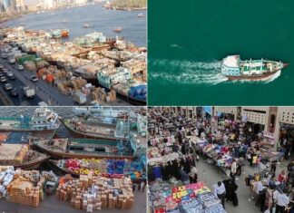 قانونمند شدن «تهلنجی» فرصتی طلایی برای رونق معیشت ساحلنشینان