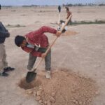 کاشت ۲۵۰۰ اصله درخت جنگلی در زمینهای شهرستان تنگستان