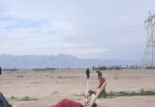 کاشت ۲۵۰۰ اصله درخت جنگلی در زمینهای شهرستان تنگستان