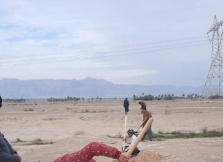 کاشت ۲۵۰۰ اصله درخت جنگلی در زمینهای شهرستان تنگستان