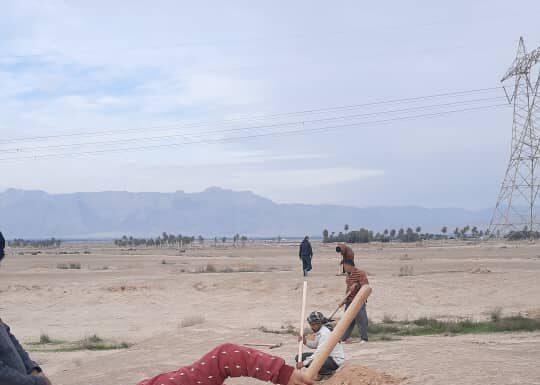 کاشت ۲۵۰۰ اصله درخت جنگلی در زمینهای شهرستان تنگستان