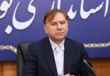 استان بوشهر ظرفیتهای خوبی در صنایع کشتی سازی دارد