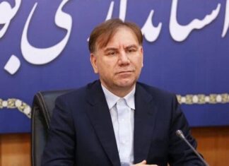 استان بوشهر ظرفیتهای خوبی در صنایع کشتی سازی دارد