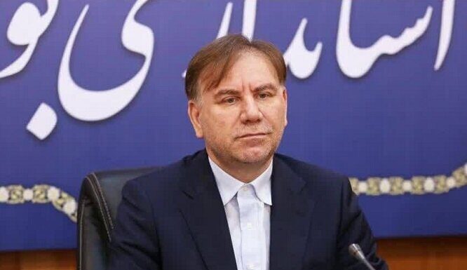 استان بوشهر ظرفیتهای خوبی در صنایع کشتی سازی دارد