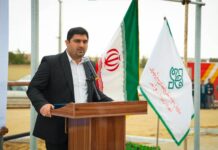 گامهای مؤثر مدیریت شهری برای توسعه فضای سبز شهری