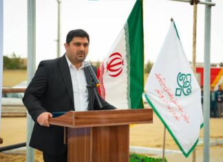 گامهای مؤثر مدیریت شهری برای توسعه فضای سبز شهری