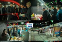 نمایشگاه صنایع دستی بوشهر افتتاح شد