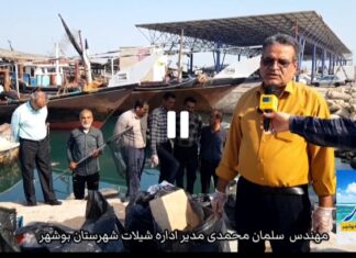 فیلم | شاید روزی ماهی شدم