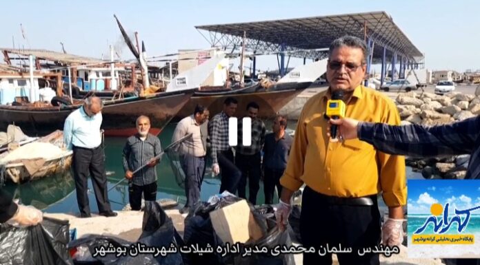 فیلم | شاید روزی ماهی شدم