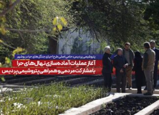 پتروشیمی پردیس، حامی اصلی طرح احیای جنگلهای حرا در بوشهر