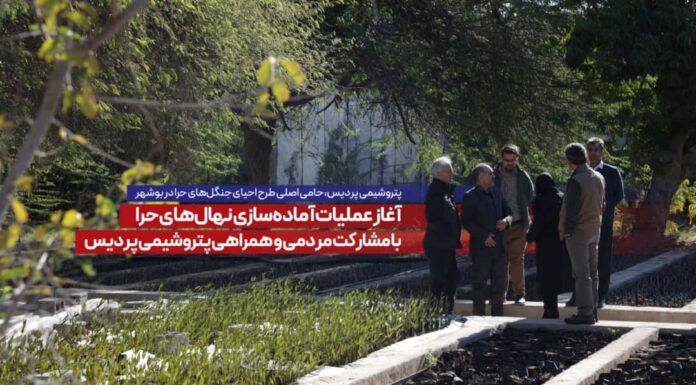 پتروشیمی پردیس، حامی اصلی طرح احیای جنگلهای حرا در بوشهر