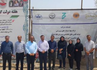 افتتاح نخستین سایت پرورش صدف خوراکی در بوشهر؛ سودآوری بالا و تسهیلات ۸۰ درصدی برای سرمایهگذاران