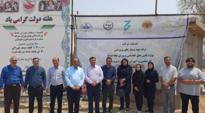 افتتاح نخستین سایت پرورش صدف خوراکی در بوشهر؛ سودآوری بالا و تسهیلات ۸۰ درصدی برای سرمایهگذاران