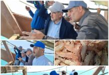 بازدید رییس سازمان شیلات ایران از روند صید میگو در آبهای بوشهر