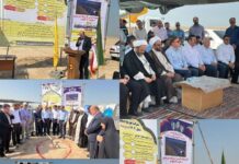عملیات اجرایی چهار نیروگاه خورشیدی در شهرستان دیلم آغاز شد