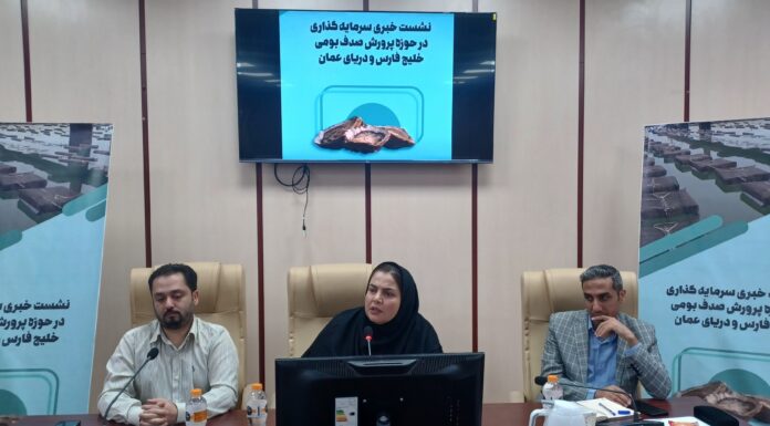 در نشست خبری سرمایهگذاری دریایی مطرح شد؛ تولید سالانه ۸۵ تن صدف خوراکی در استان بوشهر/ خرید تضمینی توسط بخش خصوصی