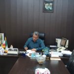 🚤 آغاز فصل پرهیجان صید میگو در بوشهر؛ بیش از ۳۲۰ تُن صید در کمتر از ده روز