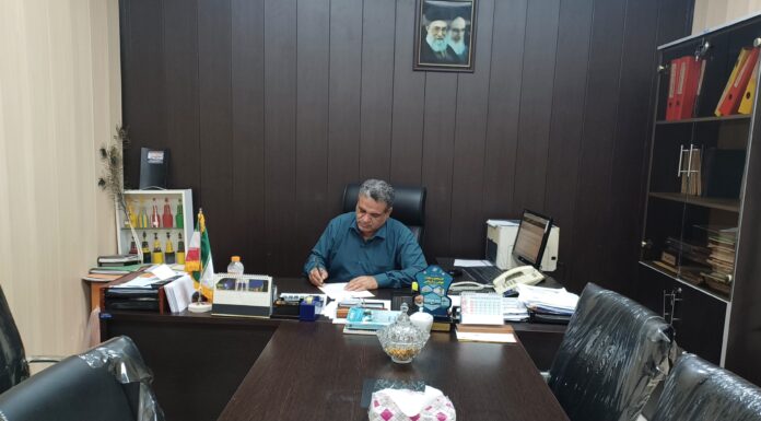 🚤 آغاز فصل پرهیجان صید میگو در بوشهر؛ بیش از ۳۲۰ تُن صید در کمتر از ده روز