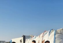 شناسایی ۲۱۰ تخلف اضافه تناژ در جادههای بوشهر / ۷۷۲ تن بار مازاد اعمال قانون شد