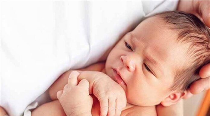 ثبت کاهش ۶٫۵ درصدی ولادت و رشد جمعیت استان بوشهر