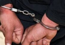 قاتل زن جوان در بوشهر دستگیر شد