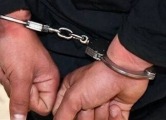 قاتل زن جوان در بوشهر دستگیر شد