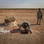 متخلف زندهگیری پرندگان شکاری در دیلم دستگیر شد