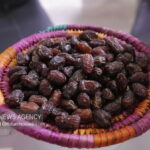 خرمای بوشهر راهی بازارهای خارجی شود؛ لزوم توسعه صنایع تبدیلی و فرآوری