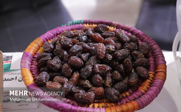 خرمای بوشهر راهی بازارهای خارجی شود؛ لزوم توسعه صنایع تبدیلی و فرآوری