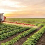 ترویج بهرهوری الگوی کشت با رویکرد سازگاری با تغییر اقلیم در بوشهر