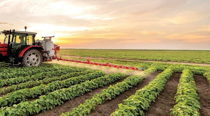 ترویج بهرهوری الگوی کشت با رویکرد سازگاری با تغییر اقلیم در بوشهر