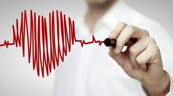 عمرانی: میانگین سن فوت شدگان بوشهری پایینتر از میزان کشور است