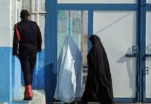 ۲۰ زندانی غیرعمد مالی در بوشهر آزاد شدند