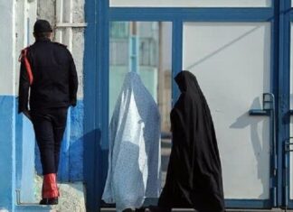 ۲۰ زندانی غیرعمد مالی در بوشهر آزاد شدند