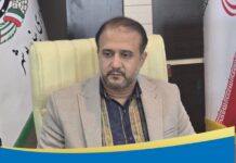 طرح «تکریم خانوادههای اهداکننده عضو» در شورای شهر بوشهر تصویب شد