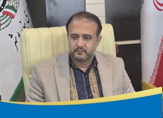 طرح «تکریم خانوادههای اهداکننده عضو» در شورای شهر بوشهر تصویب شد