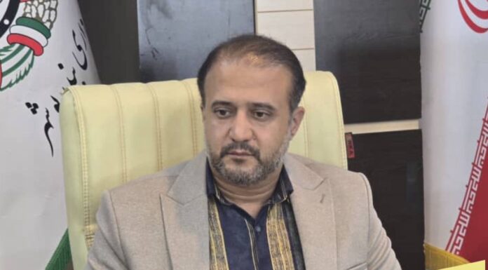 طرح «تکریم خانوادههای اهداکننده عضو» در شورای شهر بوشهر تصویب شد