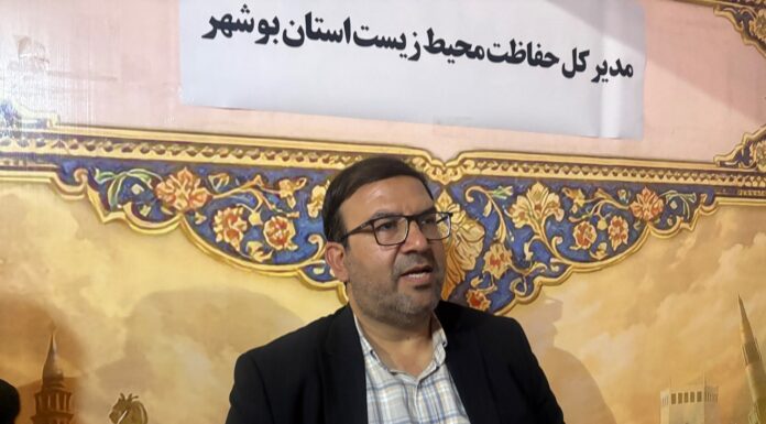 از پایش صنایع تا توسعه حرا؛ روایت اقدامات محیطزیستی بوشهر در سال ۱۴۰۴