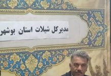 جهش تولید میگو در بوشهر پس از اصلاح مزارع