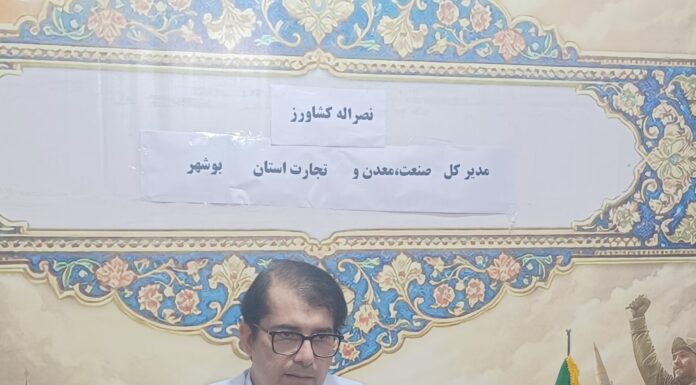 تشکیل ۲۳۰ پرونده تخلف در بازار بوشهر؛ ارجاع ۲۴ میلیارد ریال پرونده به تعزیرات