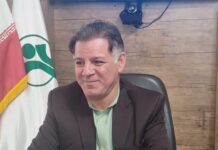 هشدار نسبت به ناترازی نگرانکننده شاغل و بازنشسته در بوشهر/ بنبست ۱۷ ساله یک پروژه رفاهی در سایه عدم همکاری دستگاههای متولی