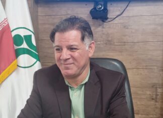 هشدار نسبت به ناترازی نگرانکننده شاغل و بازنشسته در بوشهر/ بنبست ۱۷ ساله یک پروژه رفاهی در سایه عدم همکاری دستگاههای متولی