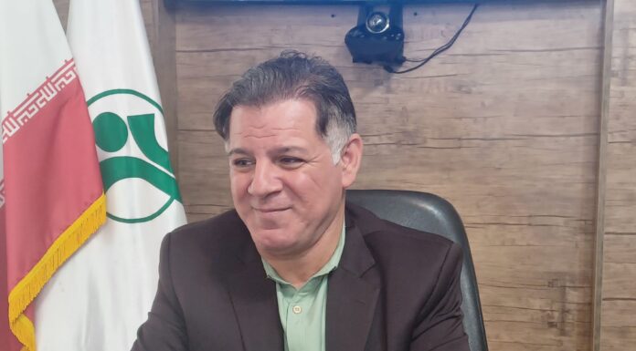 هشدار نسبت به ناترازی نگرانکننده شاغل و بازنشسته در بوشهر/ بنبست ۱۷ ساله یک پروژه رفاهی در سایه عدم همکاری دستگاههای متولی