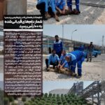 تداوم «نذر همدلی» در پتروشیمی پردیس؛ شمار دامهای قربانیشده به ۱۰۰ رأس رسید
